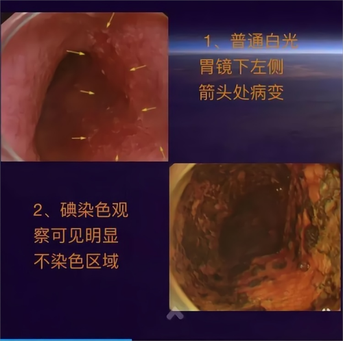 图片 2.png