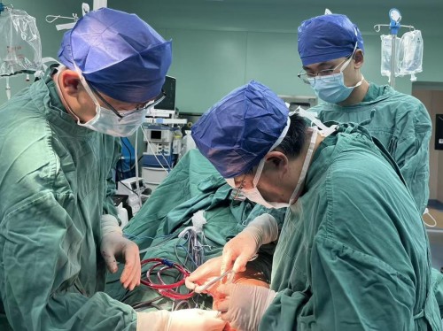 1762503895098077267.jpg 图片 2.jpg