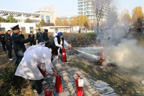 1763695890869004072.jpg 图片 3.jpg