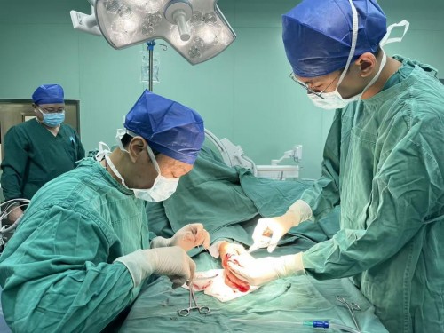 1764838361404002796.jpg 图片 1.jpg