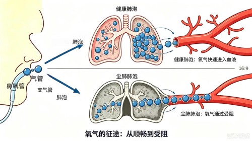 1785393986918092423.jpg 图片 2.jpg